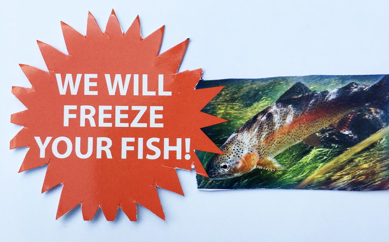 We will freeze your fish